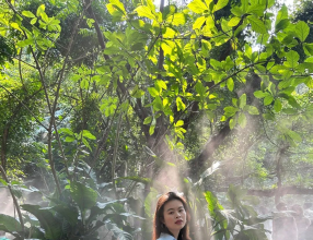 “起点不是终点”—— 陈诗婷、陈丽从川护学子到药科大研究生的逆袭之路