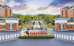 四川中医药高等专科学校：2024年专升本成绩排名实施细则(试行)