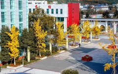 11月26日-12月4日预报名！四川幼儿师范高等专科学校：2024年专升本考试报名工作通知