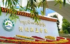 11月21日-28日预报名！阿坝职业学院：关于做好2024届毕业生专升本考试预报名工作的通知