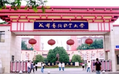 17个本科专业招生！成都艺术职业大学：2024年统招专升本招生专业