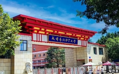 拟18个本科专业招生！成都艺术职业大学：2025年普通高校专升本招生简章